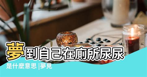 夢見掃廁所|夢見糞、屎、尿、大便、小便、上廁所